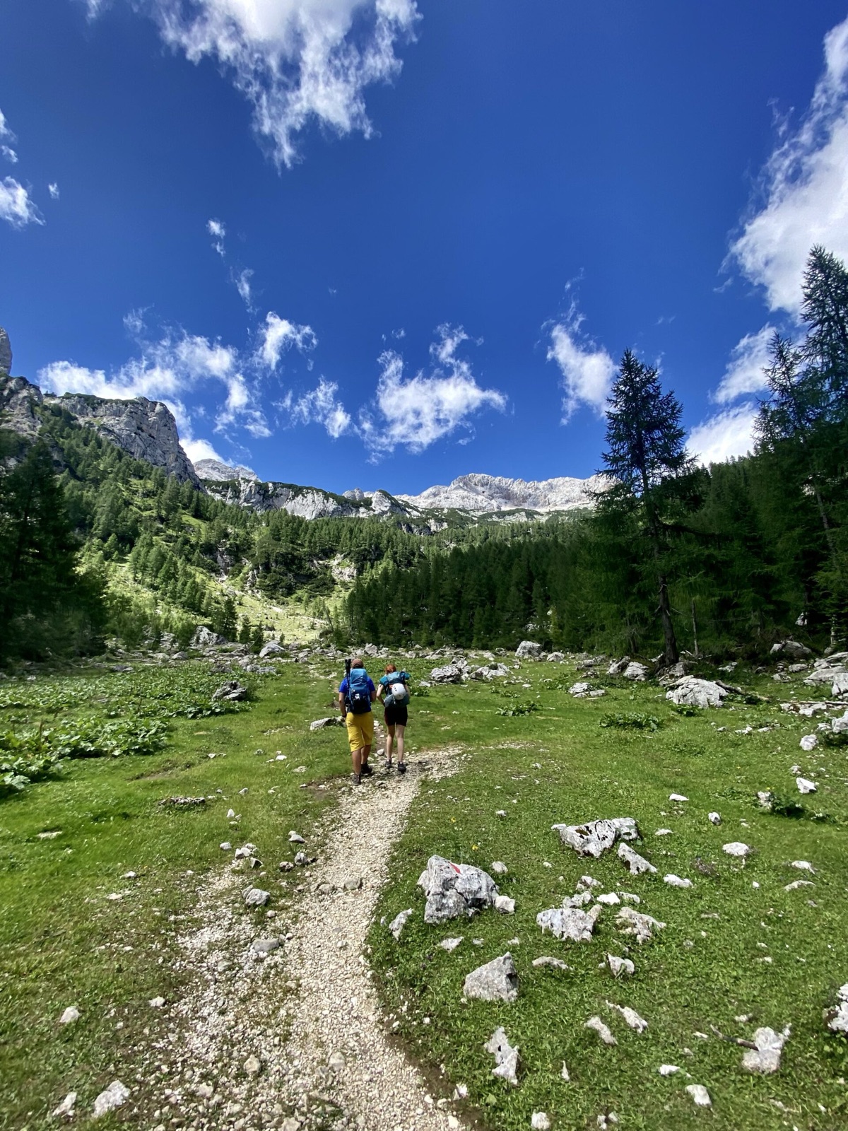 Die Wiese Polje